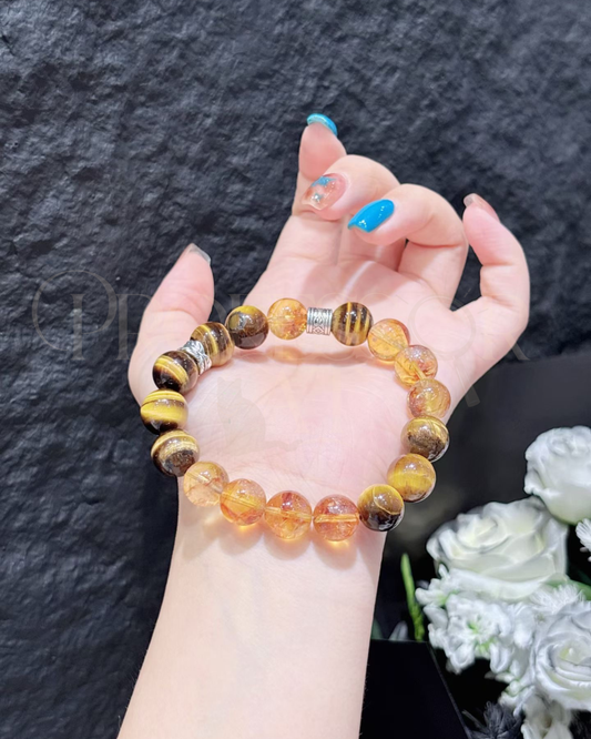 PROFCAT Golden Ground Series Bracelets